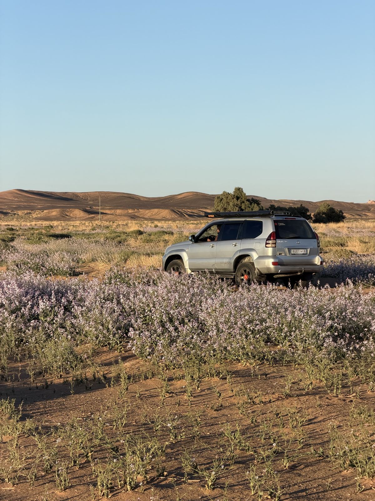 Ruta en 4x4 por el desierto florecido del sur de Marruecos