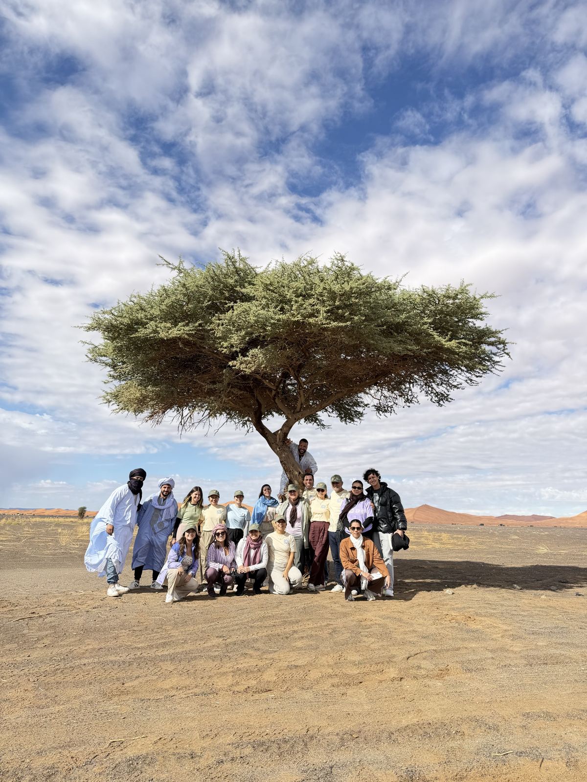 Grupo de viajeros bajo una acacia en el desierto de Merzouga